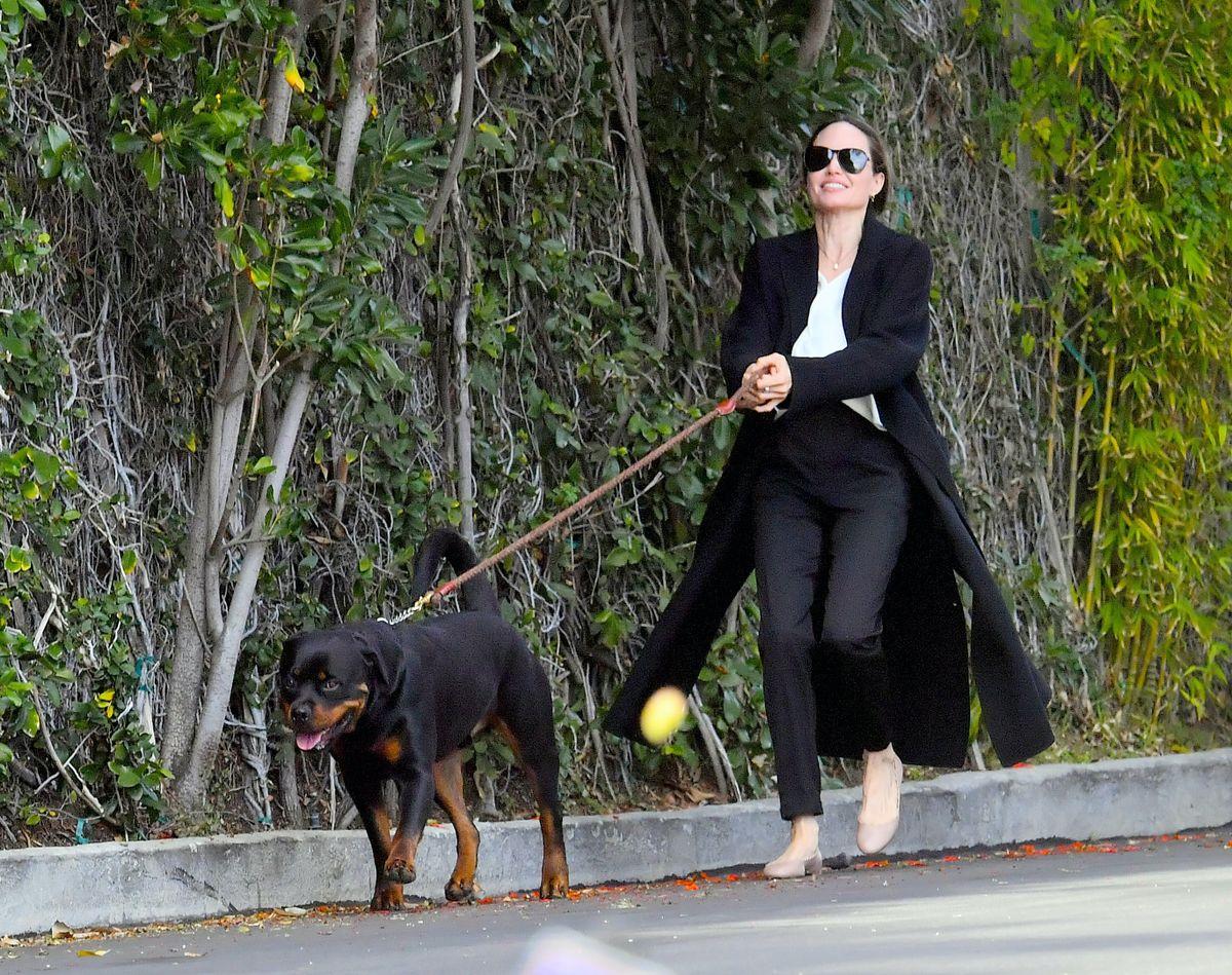 ** PREMIUM EXCLUSIVE RATES APPLY ** Angelina Jolie and daughter Vivienne are seen being pulled by their dogs as they leave a pet grooming salon in Los Angeles. The pair were all smiles as they each held the leashes of the powerful dogs, which seemed happy to be heading home. 05 Jan 2020 Pictured: Angelina Jolie and Vivienne Jolie-Pitt. Photo credit: Marksman / MEGA TheMegaAgency.com +1 888 505 6342